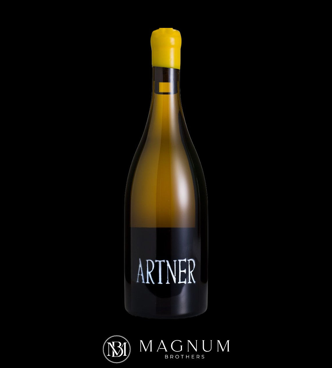 MAGNUM Artner Massive a. 2020